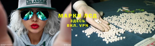 стаф Бородино