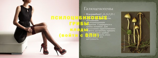 гидра Бугульма