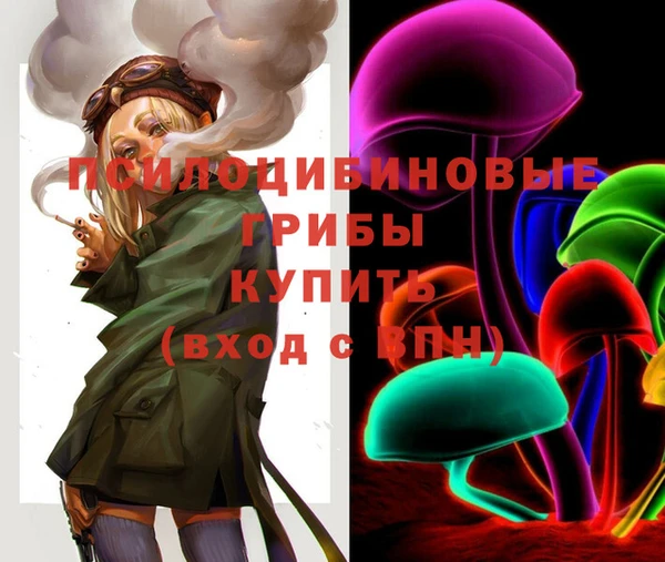 стаф Бородино