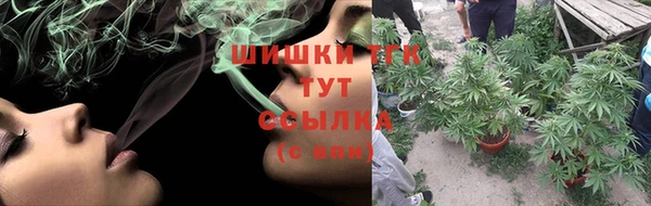 первитин Богданович