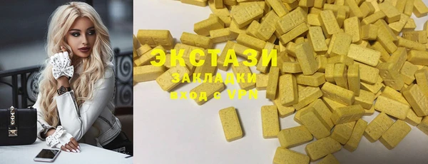 стаф Бородино