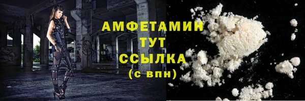 стаф Бородино